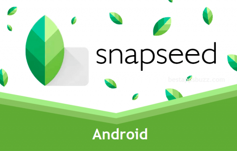 snapseed android resolution export
