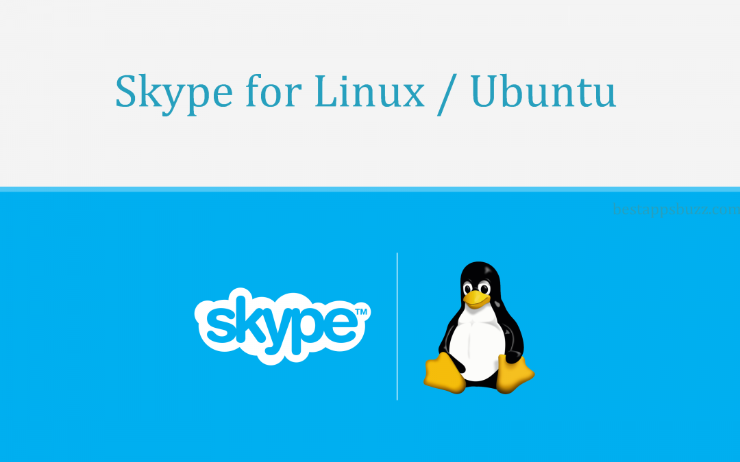 How to Install Skype on Linux/Ubuntu [Latest Version]